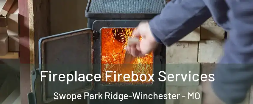 Fireplace Firebox Services Swope Park Ridge-Winchester - MO