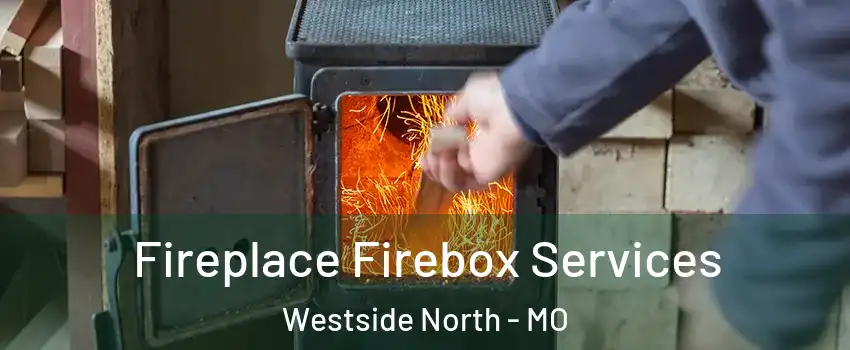 Fireplace Firebox Services Westside North - MO