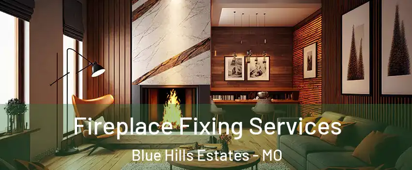 Fireplace Fixing Services Blue Hills Estates - MO