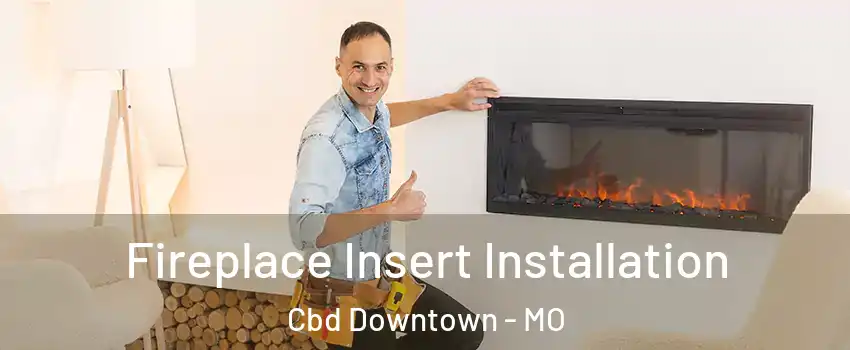 Fireplace Insert Installation Cbd Downtown - MO