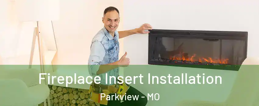 Fireplace Insert Installation Parkview - MO