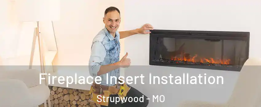 Fireplace Insert Installation Strupwood - MO