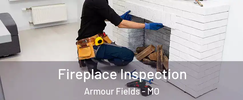 Fireplace Inspection Armour Fields - MO