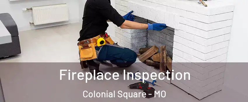 Fireplace Inspection Colonial Square - MO