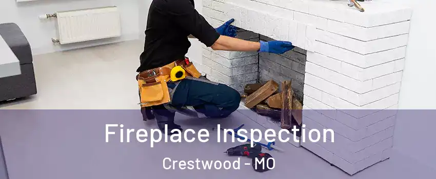 Fireplace Inspection Crestwood - MO