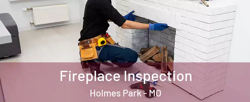 Fireplace Inspection Holmes Park - MO