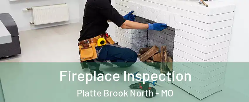 Fireplace Inspection Platte Brook North - MO