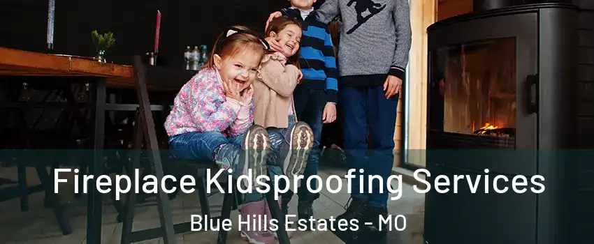 Fireplace Kidsproofing Services Blue Hills Estates - MO