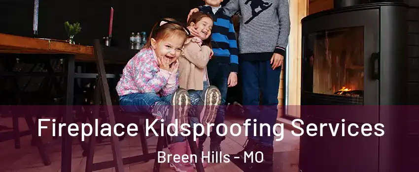 Fireplace Kidsproofing Services Breen Hills - MO