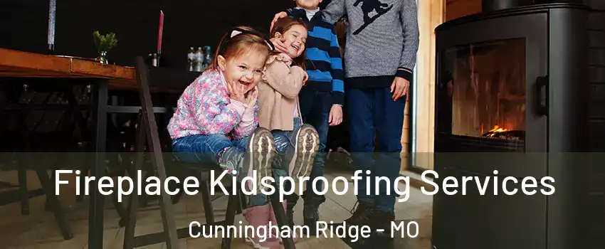 Fireplace Kidsproofing Services Cunningham Ridge - MO