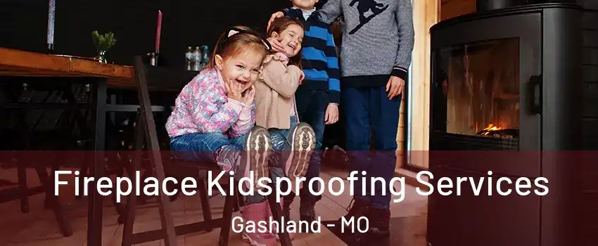 Fireplace Kidsproofing Services Gashland - MO