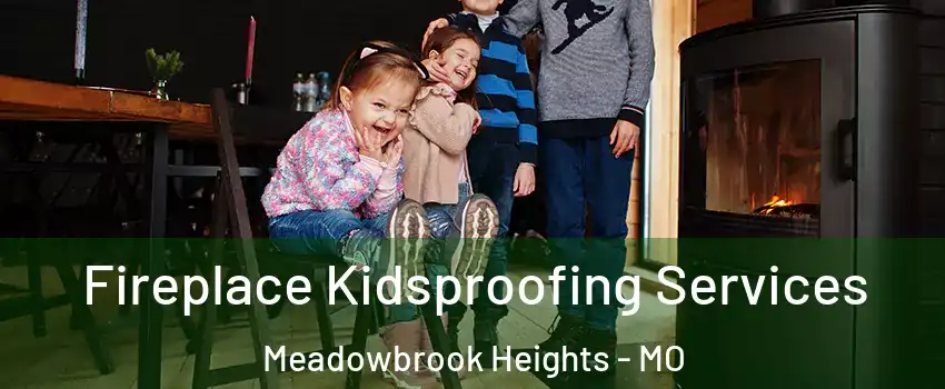 Fireplace Kidsproofing Services Meadowbrook Heights - MO