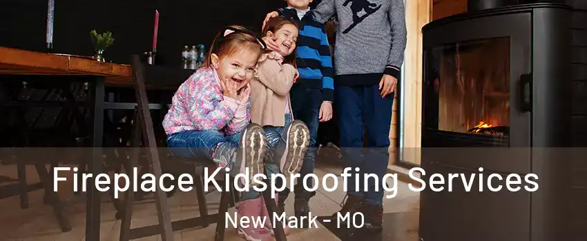 Fireplace Kidsproofing Services New Mark - MO