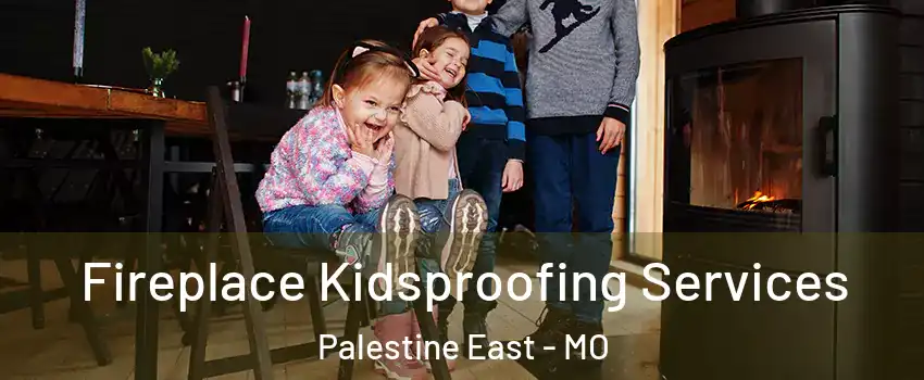 Fireplace Kidsproofing Services Palestine East - MO