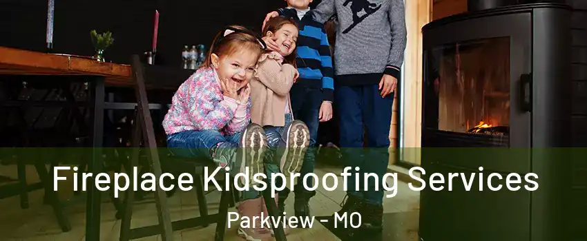 Fireplace Kidsproofing Services Parkview - MO