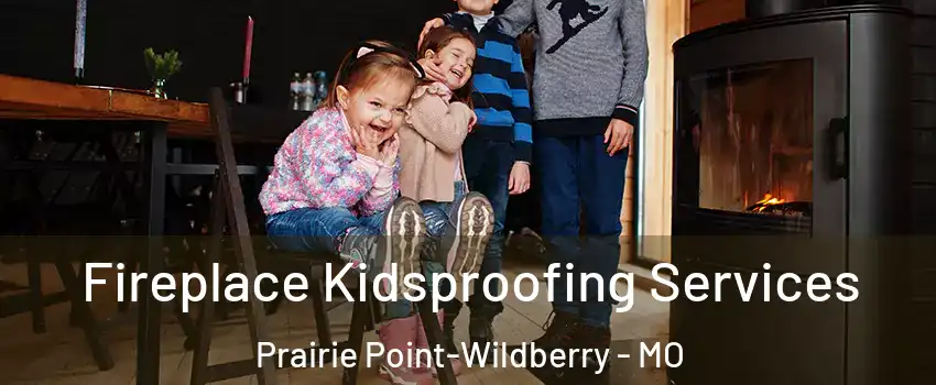 Fireplace Kidsproofing Services Prairie Point-Wildberry - MO