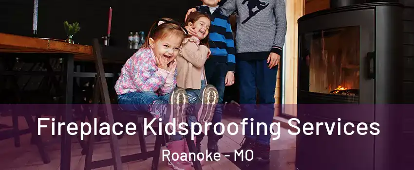 Fireplace Kidsproofing Services Roanoke - MO