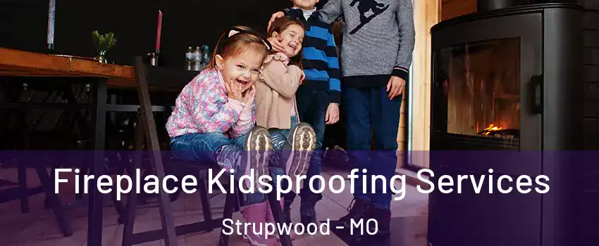 Fireplace Kidsproofing Services Strupwood - MO