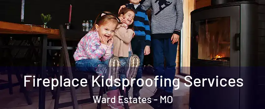 Fireplace Kidsproofing Services Ward Estates - MO