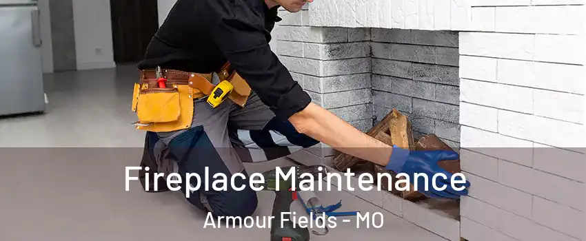 Fireplace Maintenance Armour Fields - MO