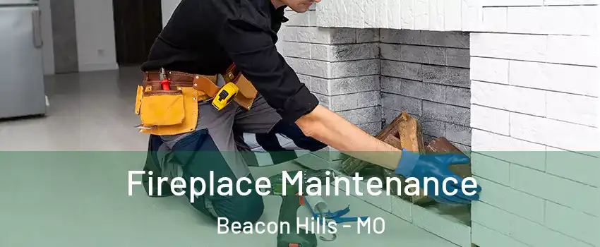 Fireplace Maintenance Beacon Hills - MO