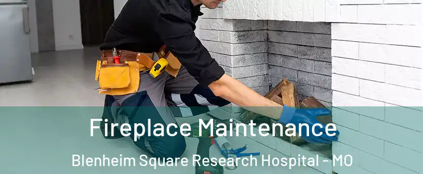 Fireplace Maintenance Blenheim Square Research Hospital - MO