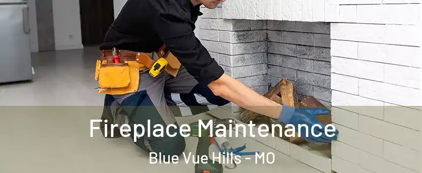 Fireplace Maintenance Blue Vue Hills - MO