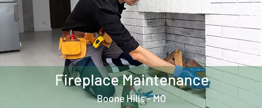 Fireplace Maintenance Boone Hills - MO