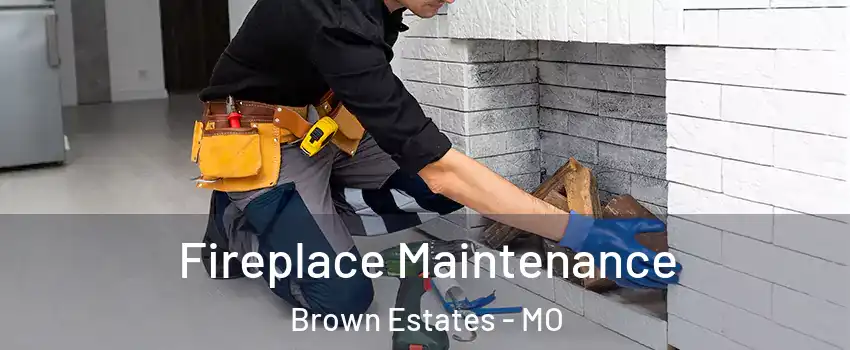 Fireplace Maintenance Brown Estates - MO