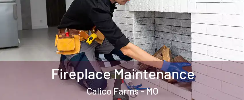 Fireplace Maintenance Calico Farms - MO