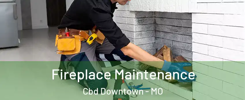 Fireplace Maintenance Cbd Downtown - MO