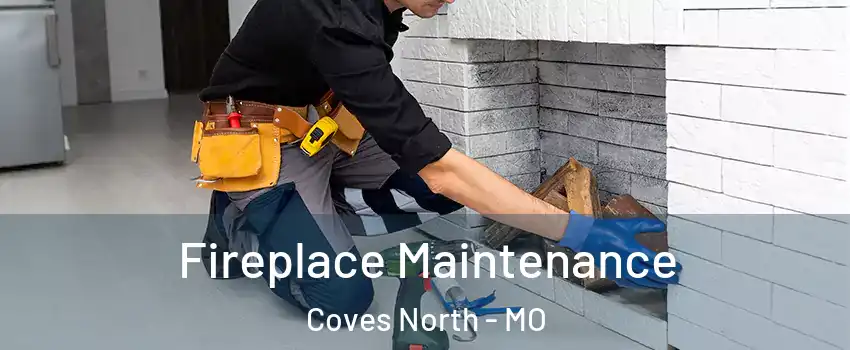 Fireplace Maintenance Coves North - MO