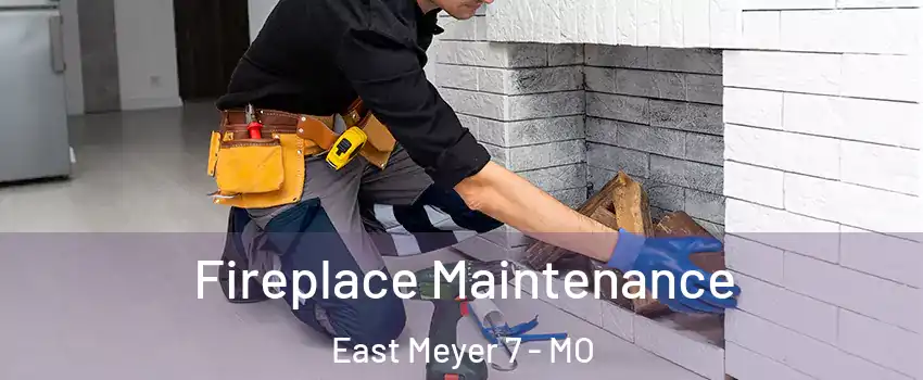 Fireplace Maintenance East Meyer 7 - MO