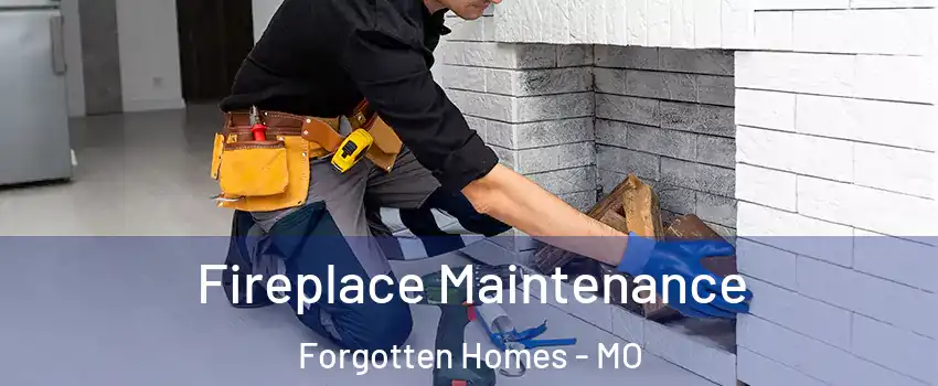 Fireplace Maintenance Forgotten Homes - MO