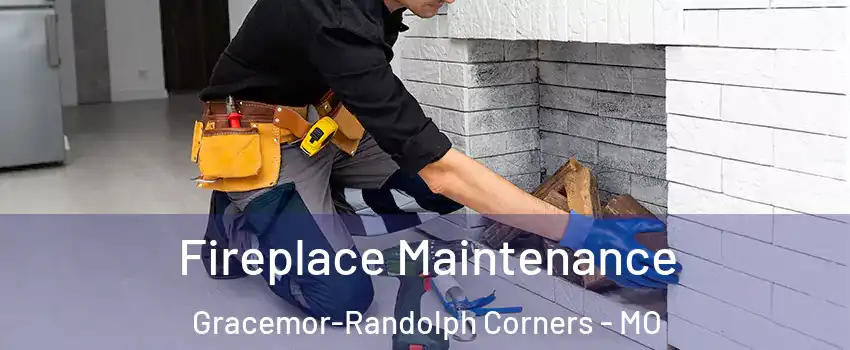 Fireplace Maintenance Gracemor-Randolph Corners - MO