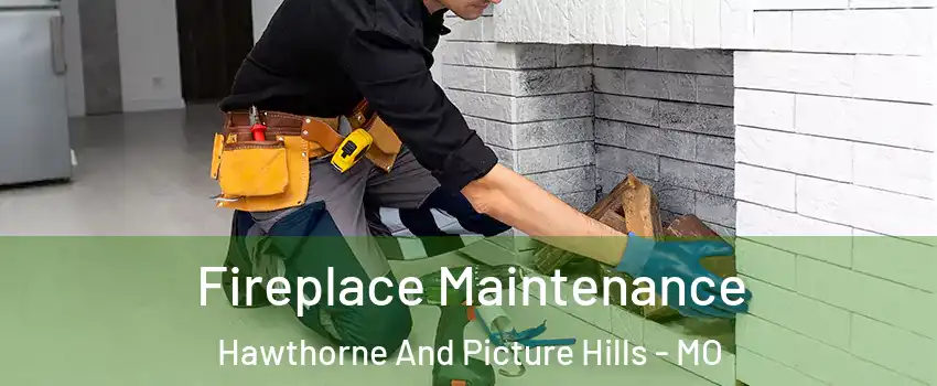 Fireplace Maintenance Hawthorne And Picture Hills - MO