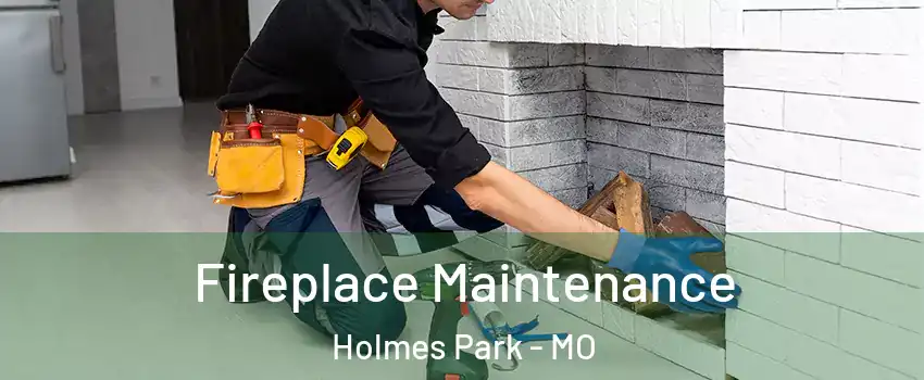 Fireplace Maintenance Holmes Park - MO