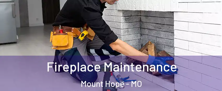 Fireplace Maintenance Mount Hope - MO