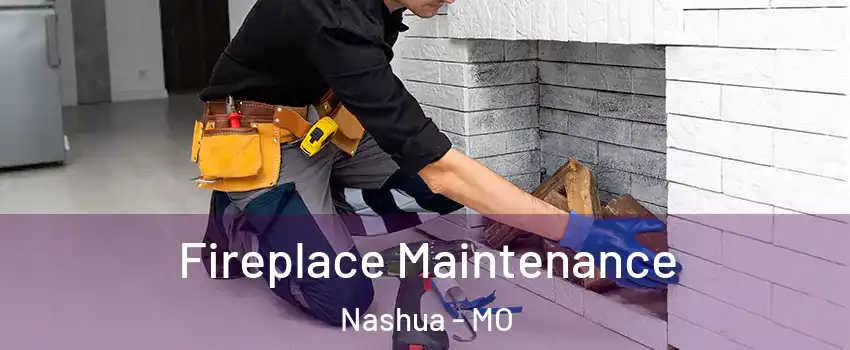 Fireplace Maintenance Nashua - MO