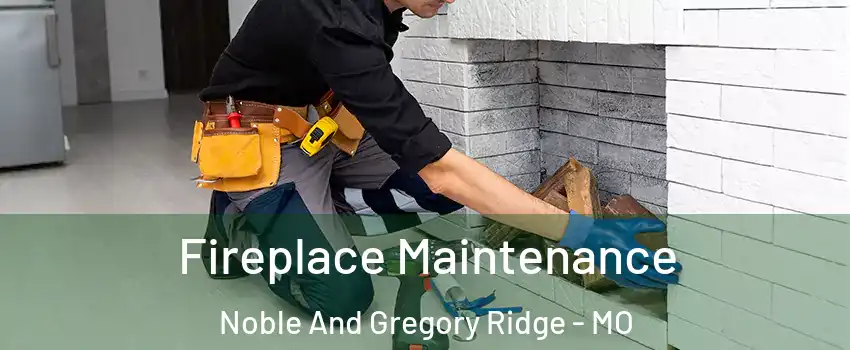 Fireplace Maintenance Noble And Gregory Ridge - MO