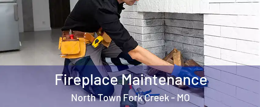 Fireplace Maintenance North Town Fork Creek - MO