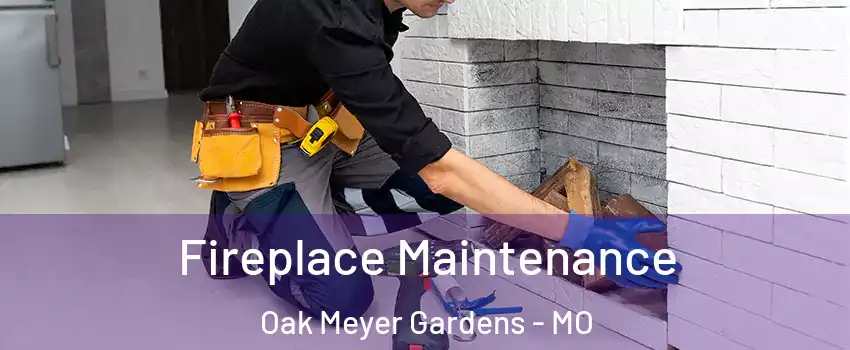 Fireplace Maintenance Oak Meyer Gardens - MO