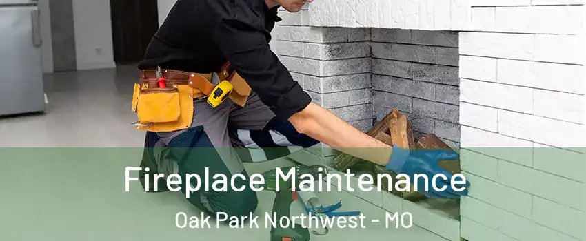 Fireplace Maintenance Oak Park Northwest - MO