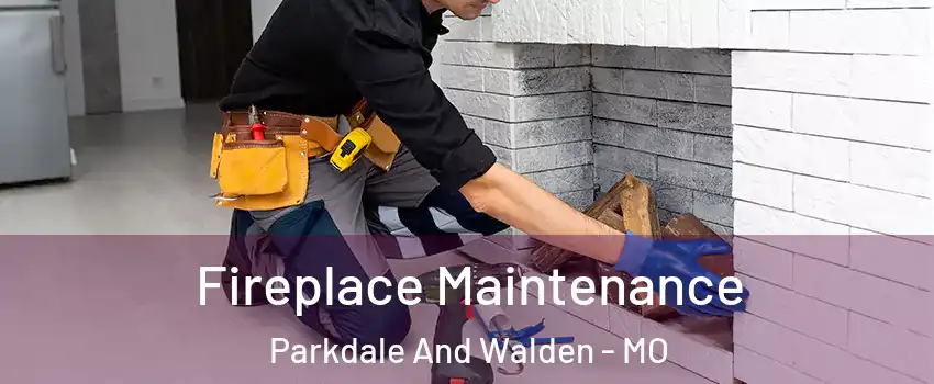 Fireplace Maintenance Parkdale And Walden - MO