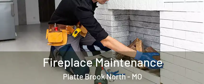 Fireplace Maintenance Platte Brook North - MO