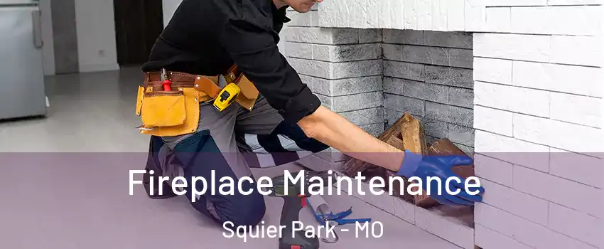 Fireplace Maintenance Squier Park - MO