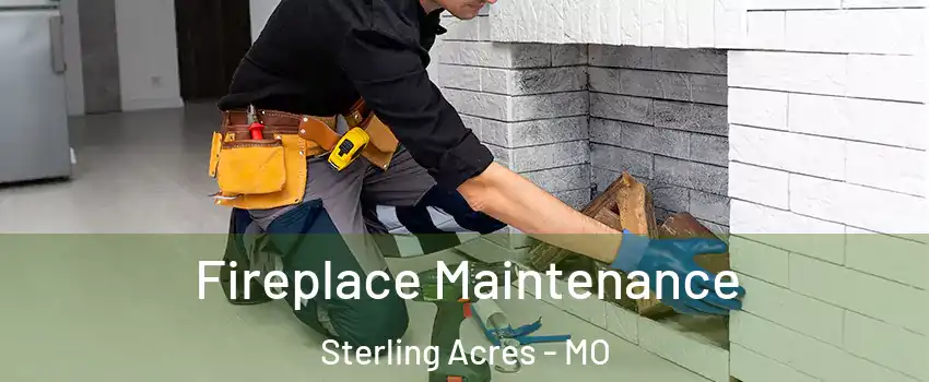 Fireplace Maintenance Sterling Acres - MO