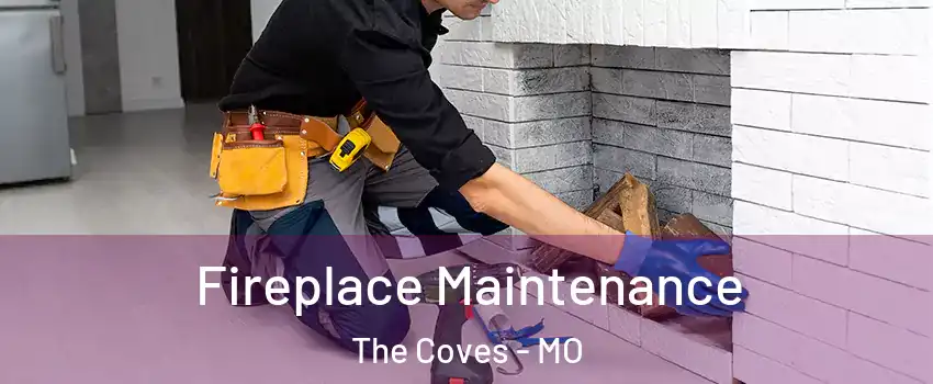 Fireplace Maintenance The Coves - MO