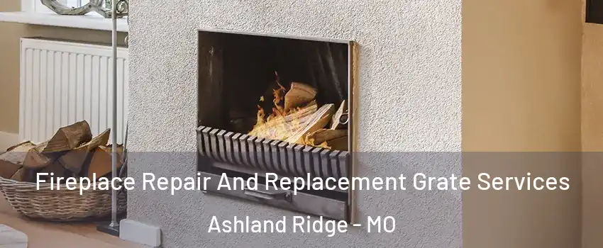 Fireplace Repair And Replacement Grate Services Ashland Ridge - MO