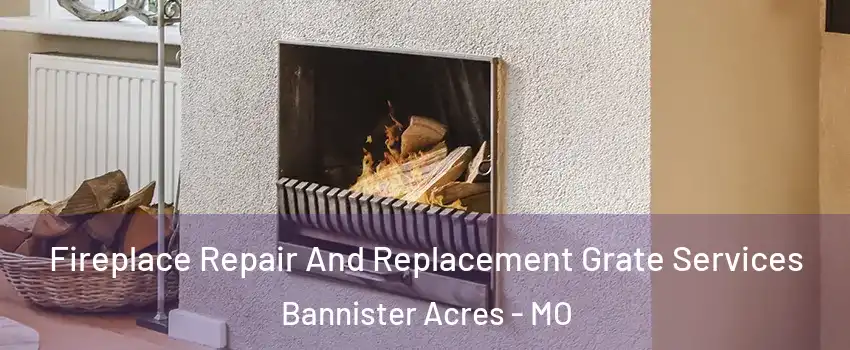 Fireplace Repair And Replacement Grate Services Bannister Acres - MO